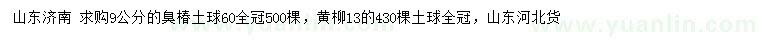 求購9公分臭椿、13公分黃柳