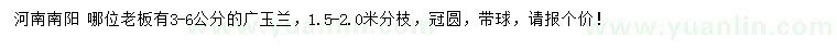 求購(gòu)3-6公分廣玉蘭
