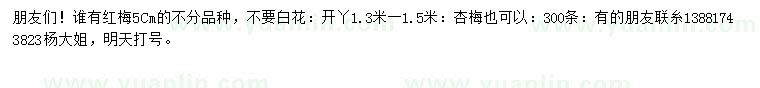 求購(gòu)5公分紅梅
