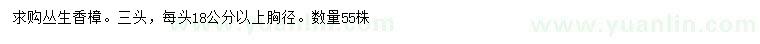 求購三頭叢生香樟