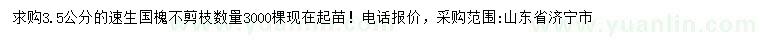 求購3.5公分速生國槐