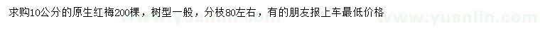 求購(gòu)10公分原生紅梅
