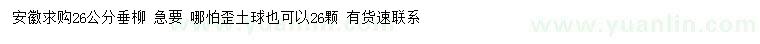 求購26公分垂柳