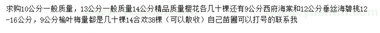 求購櫻花、西府海棠、垂絲海棠等