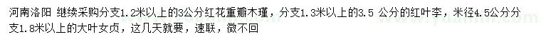 求購紅花重瓣木瑾、紅葉李、大葉女貞