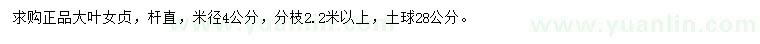 求購米徑4公分大葉女貞