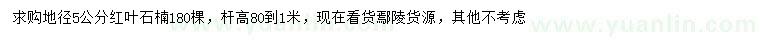 求購地徑5公分紅葉石楠