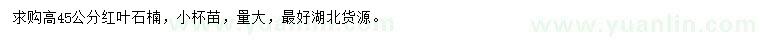 求購高45公分紅葉石楠