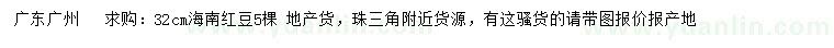 求購32公分海南紅豆