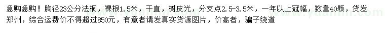 求購胸徑23公分法桐