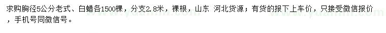 求購(gòu)胸徑5公分老式國(guó)槐、白蠟