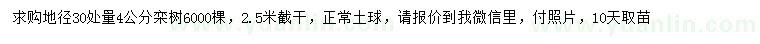 求購地徑30公分處量4公分欒樹