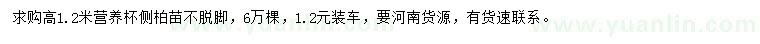 求購(gòu)高1.2米側(cè)柏苗