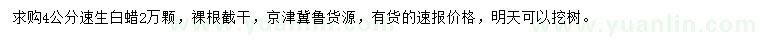求購4公分速生白蠟