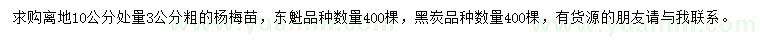 求購粗3公分楊梅苗
