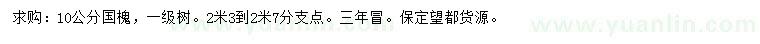 求購10公分國槐