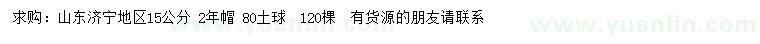 求購(gòu)15公分國(guó)槐