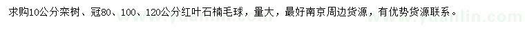 求購10公分欒樹、冠80、100、120公分紅葉石楠球