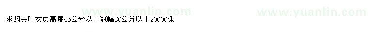 求購高45公分以上金葉女貞