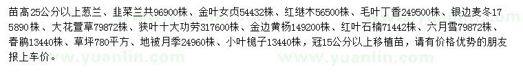 求購(gòu)蔥蘭、韭菜蘭、金葉女貞等小苗