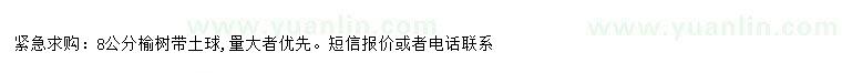 求購8公分榆樹