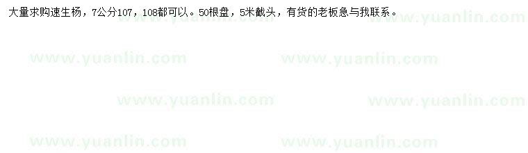 求購7公分107、108速生楊