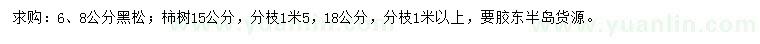 求購6、8公分黑松、15、18公分柿樹