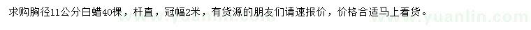 求購胸徑11公分白蠟