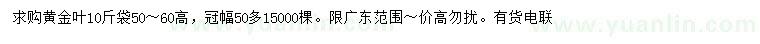 求購(gòu)高50-60公分黃金葉