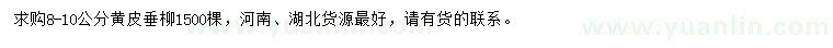 求購8-10公分黃皮垂柳