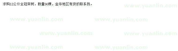 求購12公分欒樹