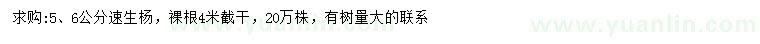 求購5、6公分速生楊