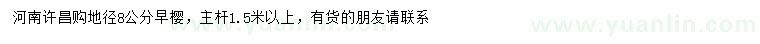 求購地徑8公分早櫻