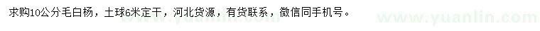 求購10公分毛白楊