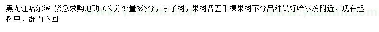 求購(gòu)地徑10公分處量3公分李子樹(shù)