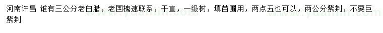 求購(gòu)老白臘、老國(guó)槐、紫荊