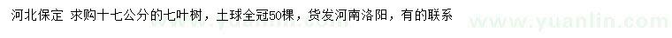 求購17公分七葉樹