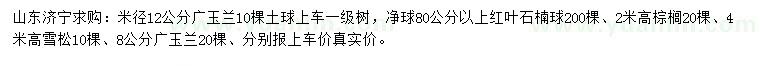 求購廣玉蘭、紅葉石楠球、棕櫚等