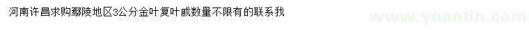 求購3公分金葉復(fù)葉槭
