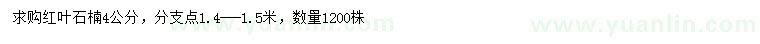 求購(gòu)4公分紅葉石楠