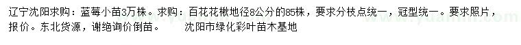求購藍(lán)莓小苗、地徑8公分百花花楸
