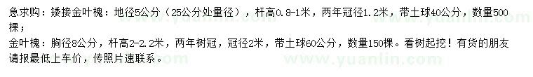 求購地徑5公分矮接金葉槐、胸徑8公分金葉槐