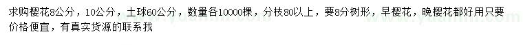 求購8、10公分櫻花