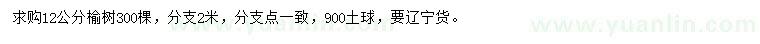 求購12公分榆樹