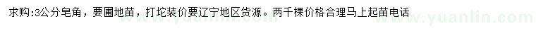 求購3公分皂角