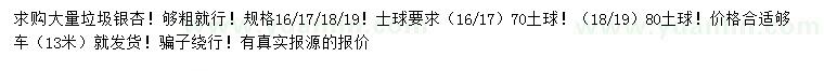 求購16、17、18、19公分垃圾銀杏