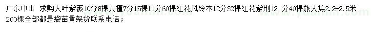 求購(gòu)大葉紫薇、黃槿、紅花風(fēng)鈴木等