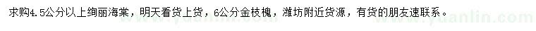 求購4.5公分以上絢麗海棠、6公分金枝槐