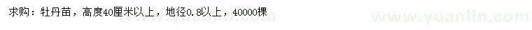 求購高40公分以上牡丹苗