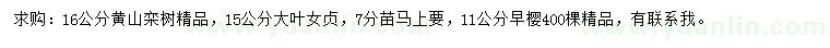 求購黃山欒樹、大葉女貞、早櫻